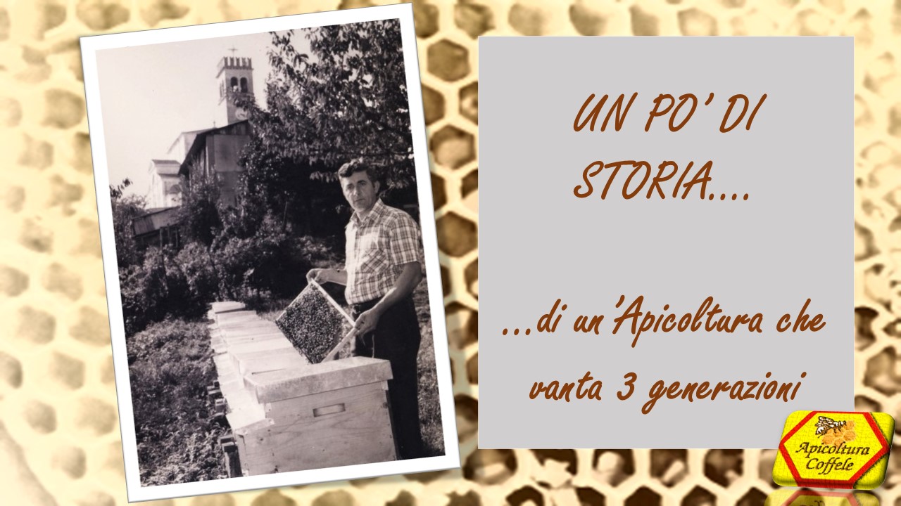 zio storia apicoltura